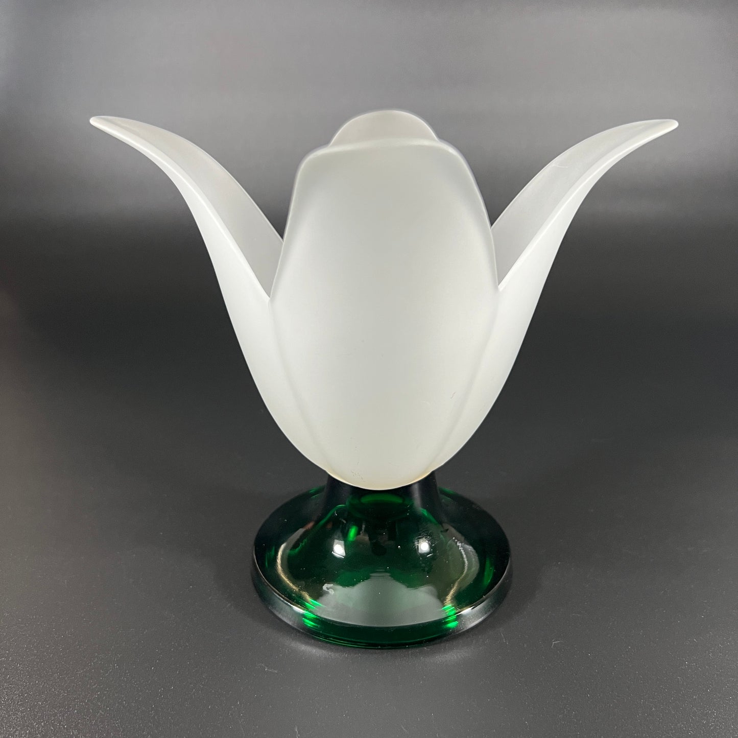 Studio Nova Tulip Shaped Vase