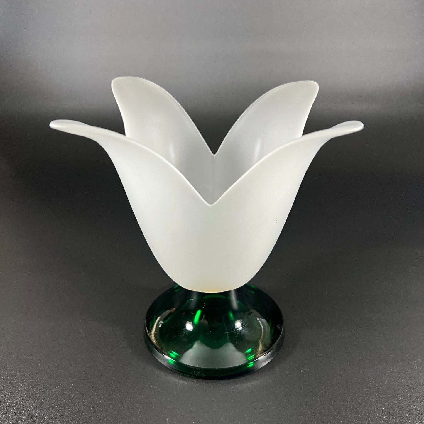 Studio Nova Tulip Shaped Vase