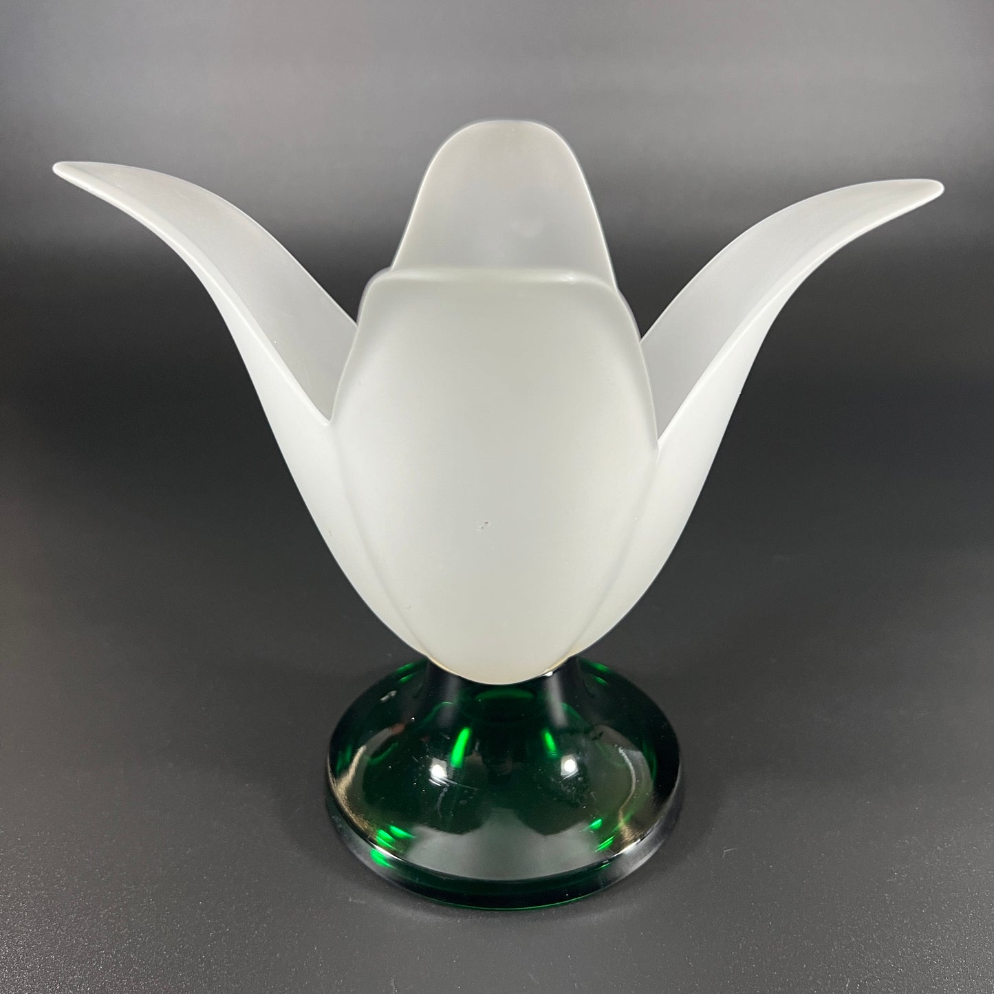 Studio Nova Tulip Shaped Vase