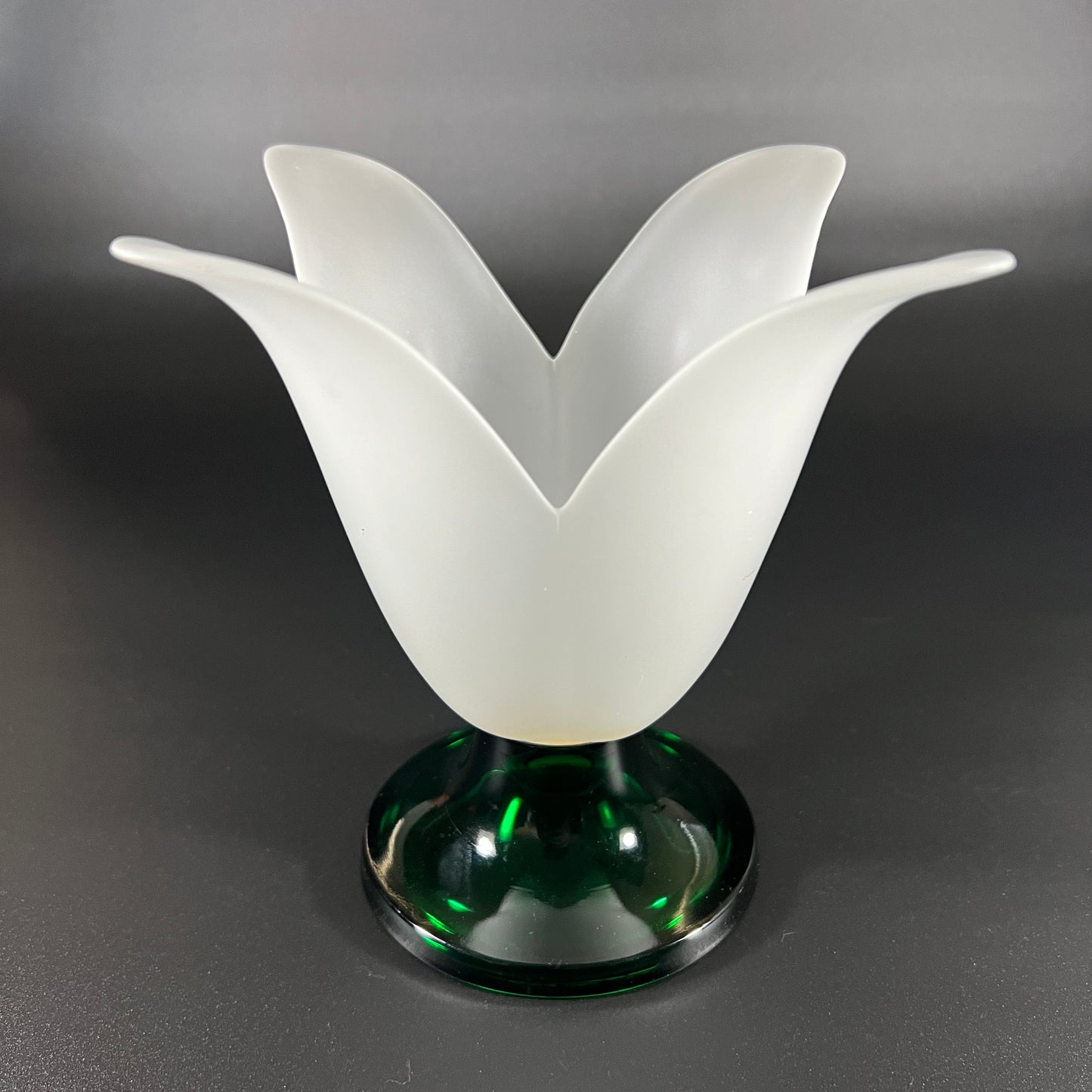 Studio Nova Tulip Shaped Vase