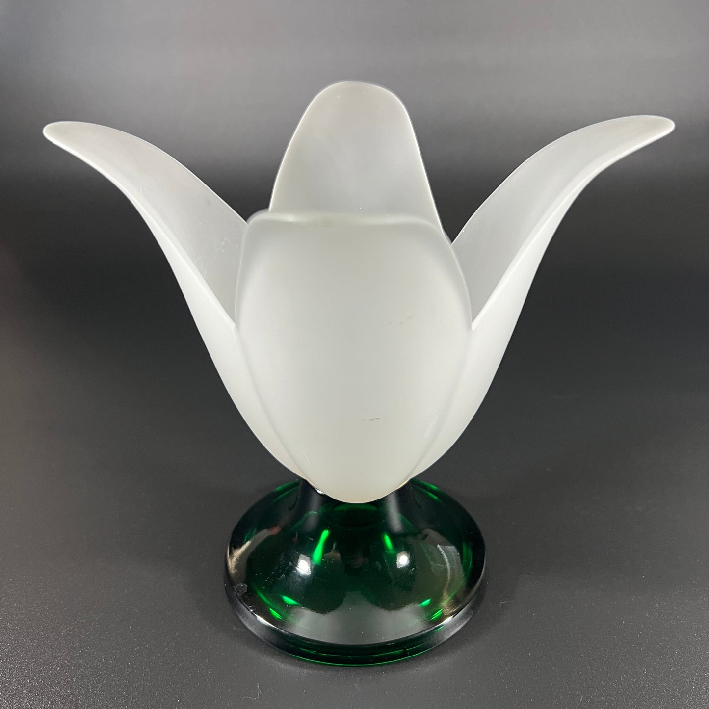 Studio Nova Tulip Shaped Vase