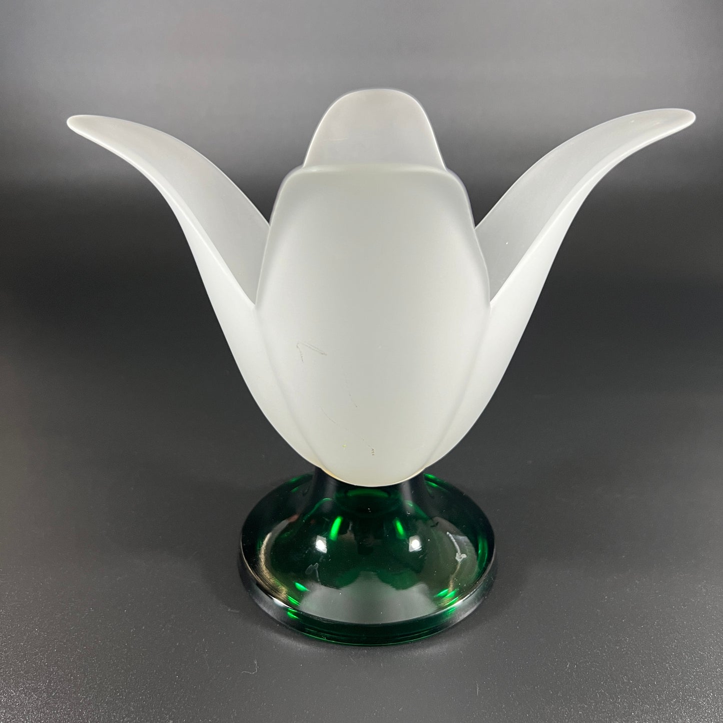 Studio Nova Tulip Shaped Vase