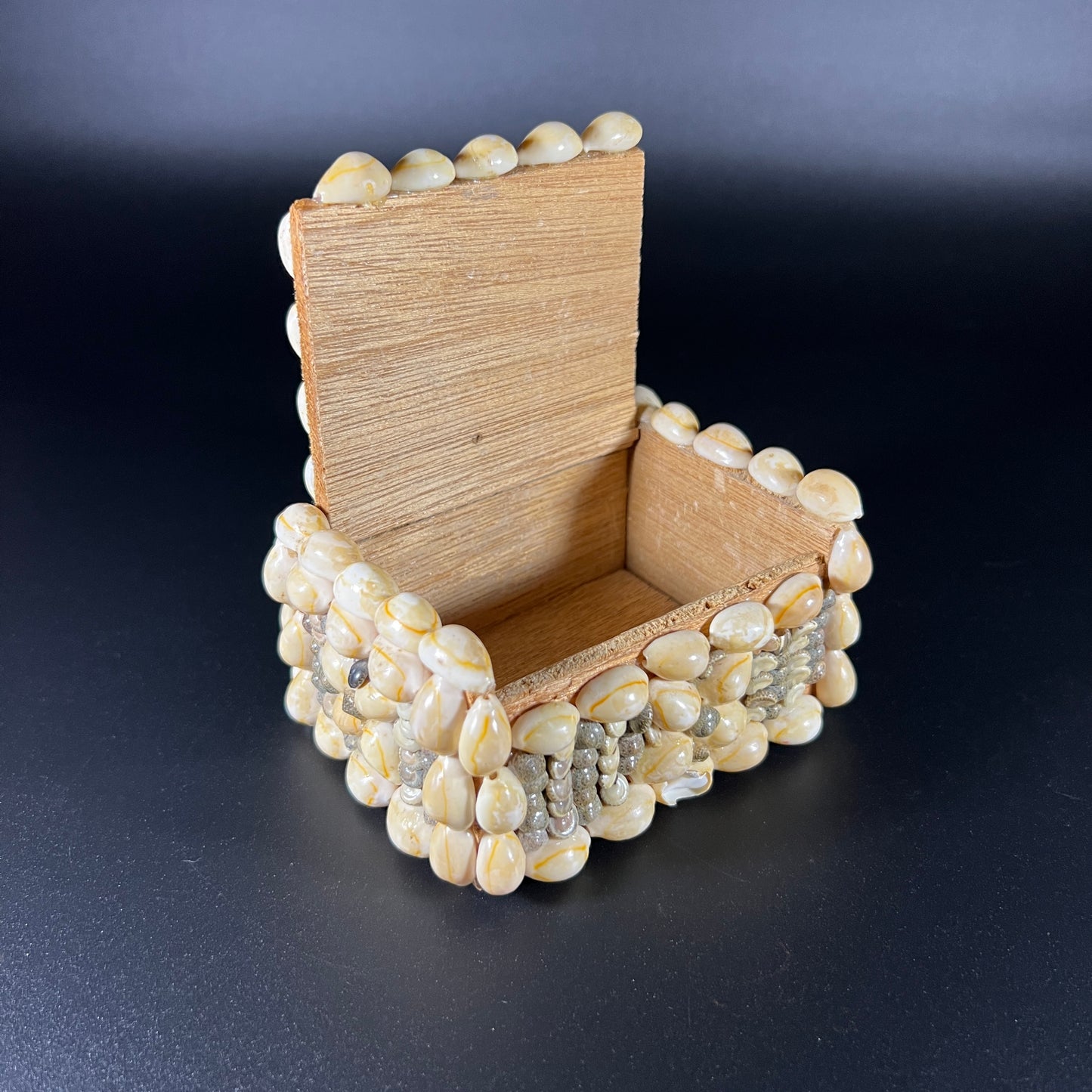 Vintage Sea Shell Trinket Box