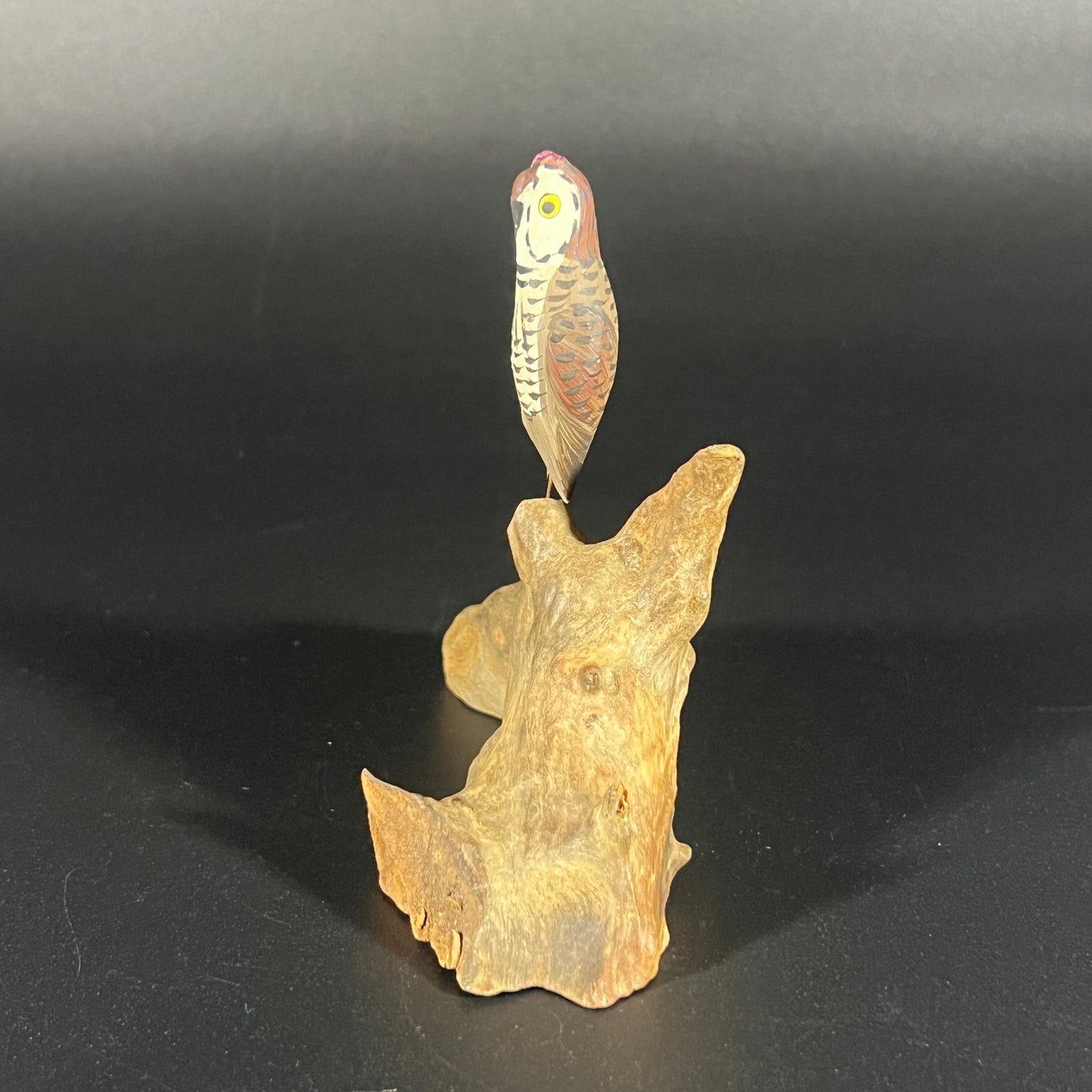 Owl Sculpture on Driftwood