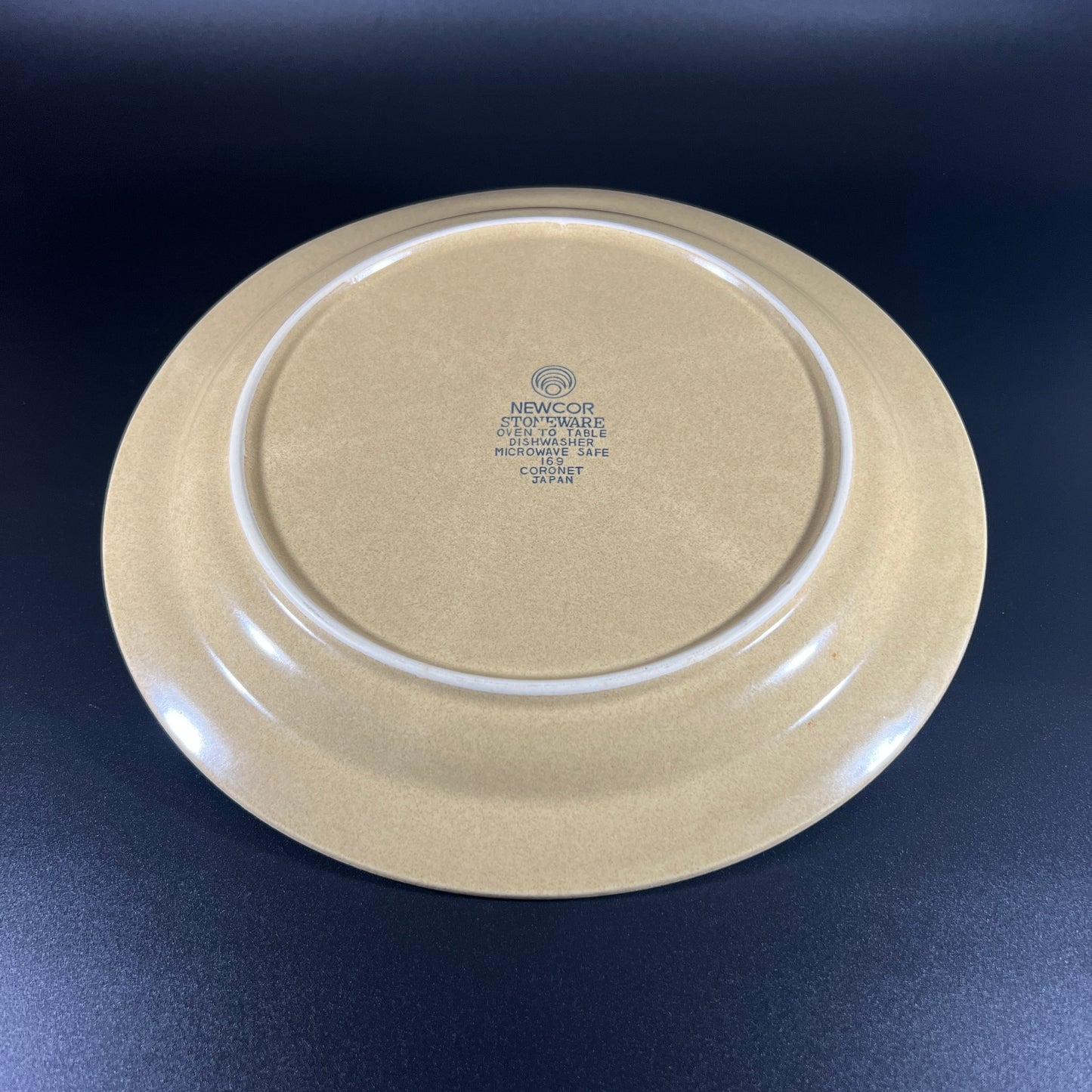 Newcor Hand-Painted Japanese Stoneware Dinner Plates