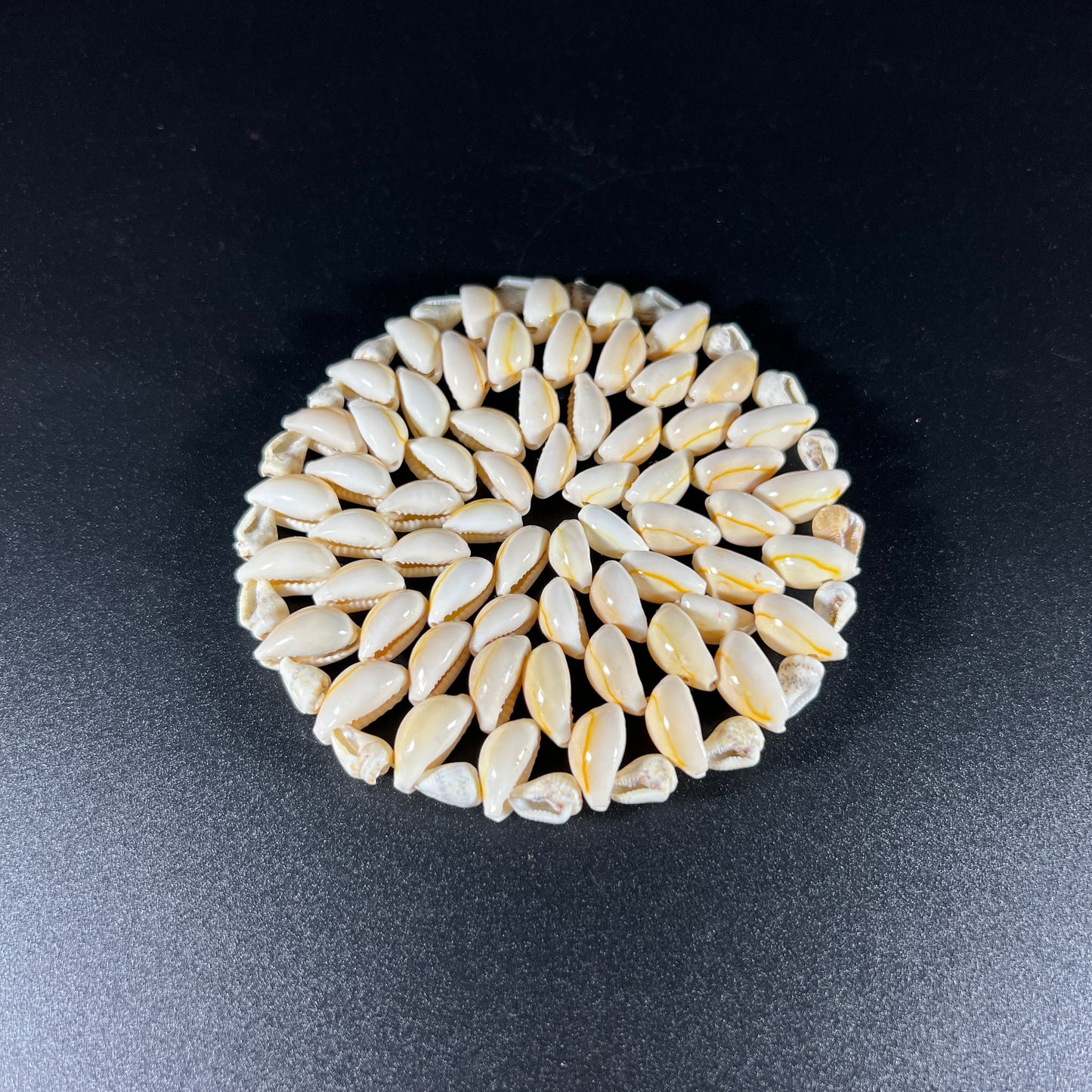 Vintage Sea Shell Coaster