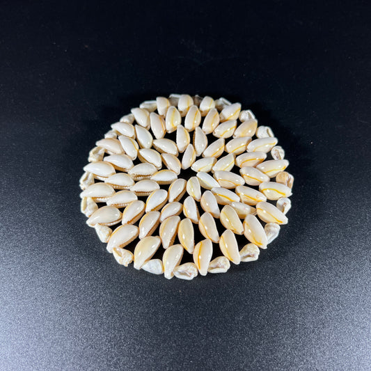 Vintage Sea Shell Coaster