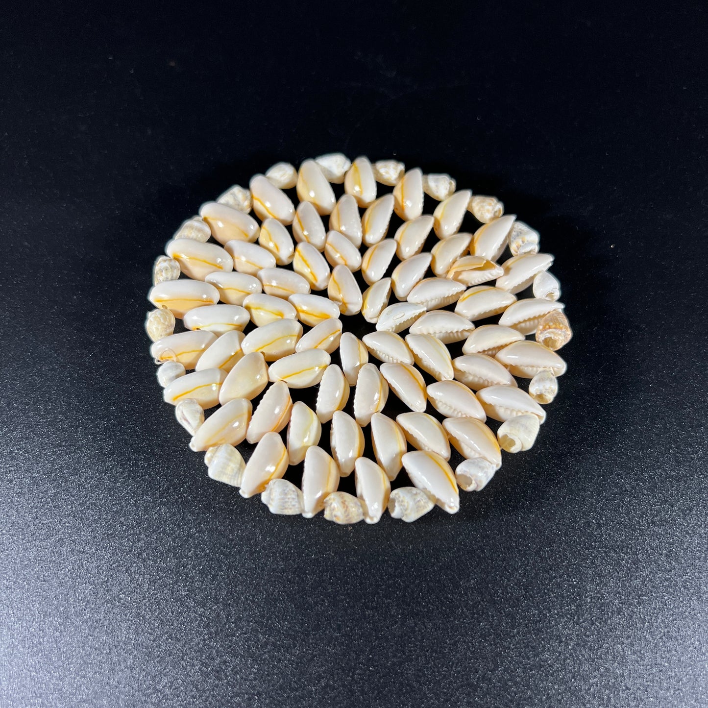 Vintage Sea Shell Coaster