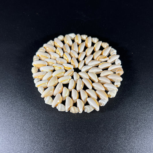 Vintage Sea Shell Coaster