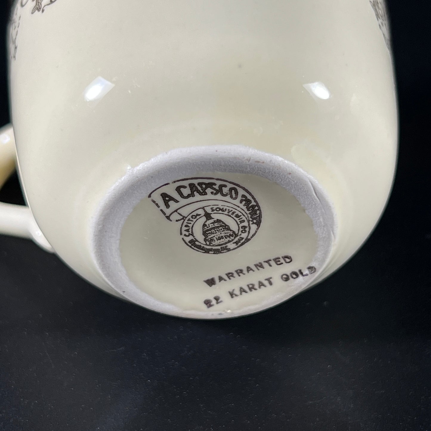 Washington DC Souvenir Mug