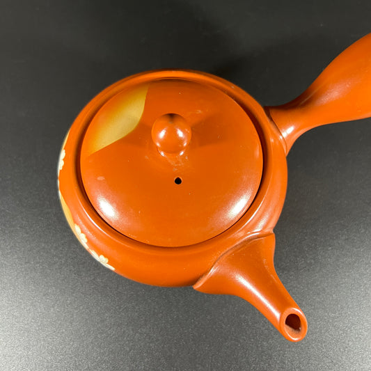 Tokoname Japanese Tea Pot