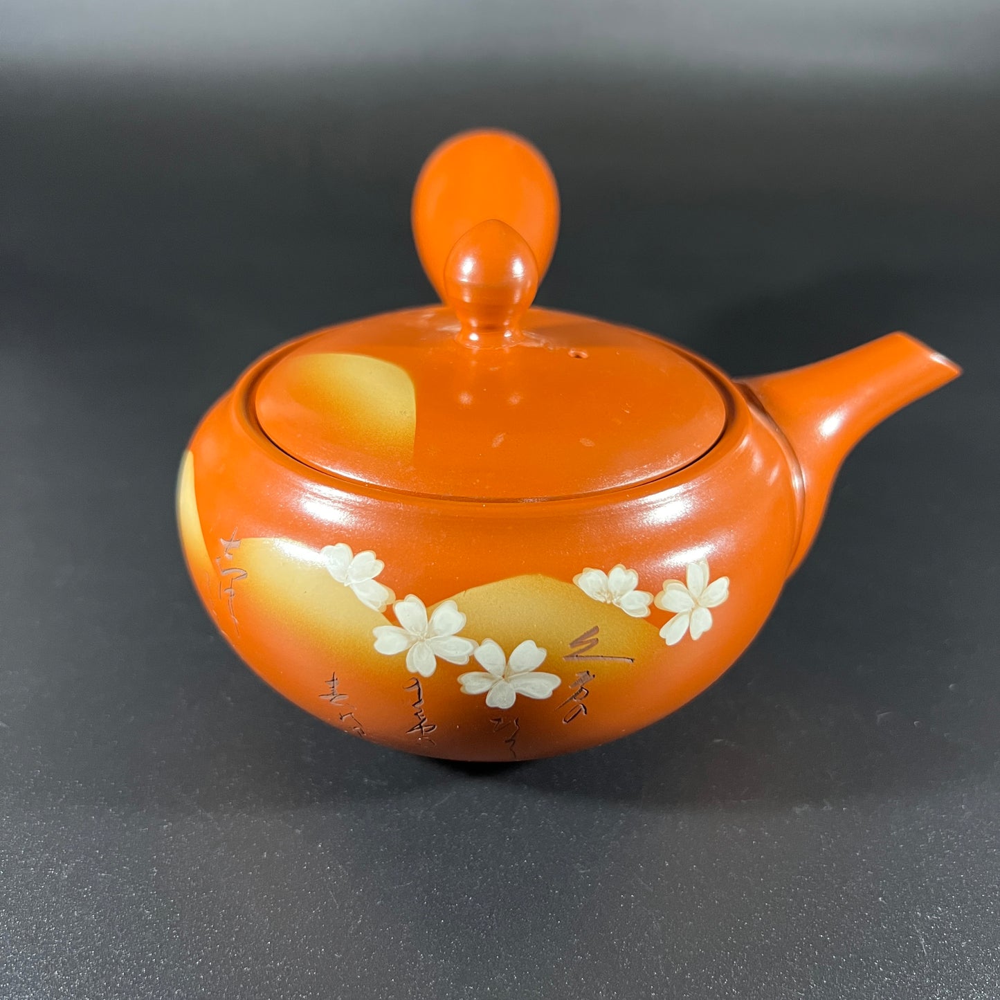 Tokoname Japanese Tea Pot