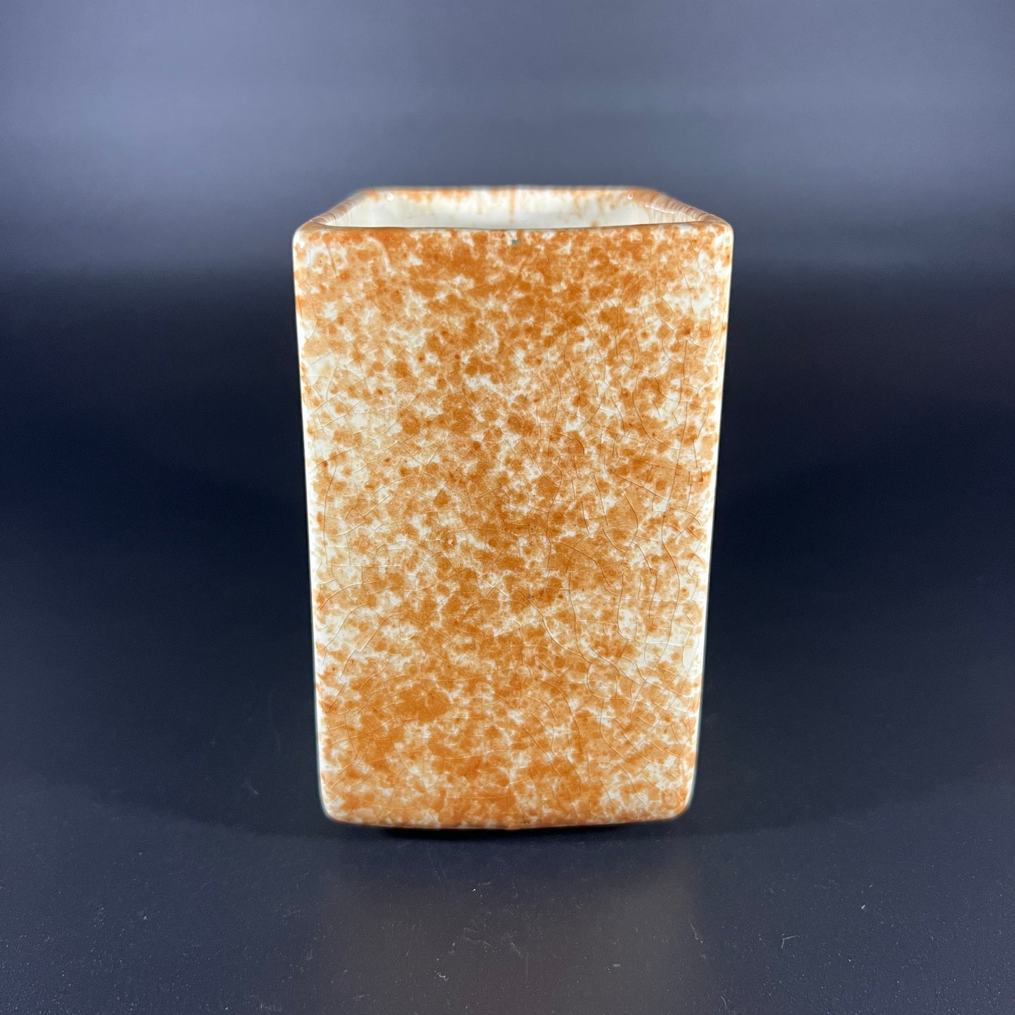 Valenty Zaharek "Thunderbird" Vase