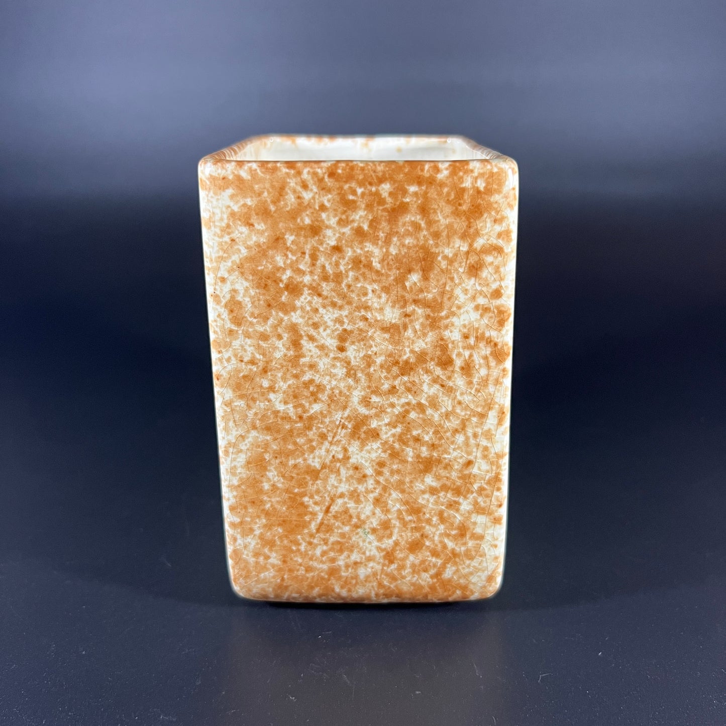 Valenty Zaharek "Thunderbird" Vase