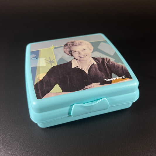 Retro Tupperware Sandwich Keeper
