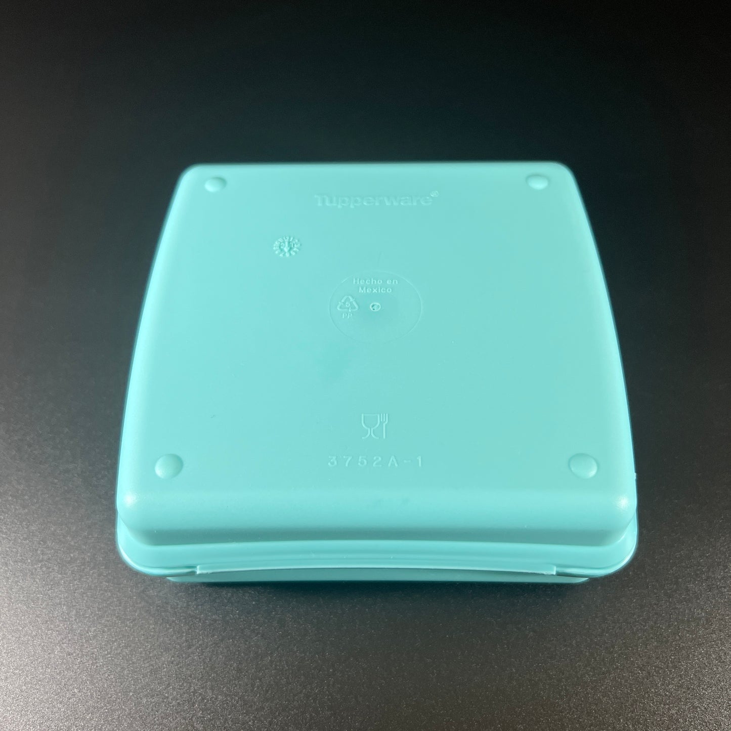 Retro Tupperware Sandwich Keeper