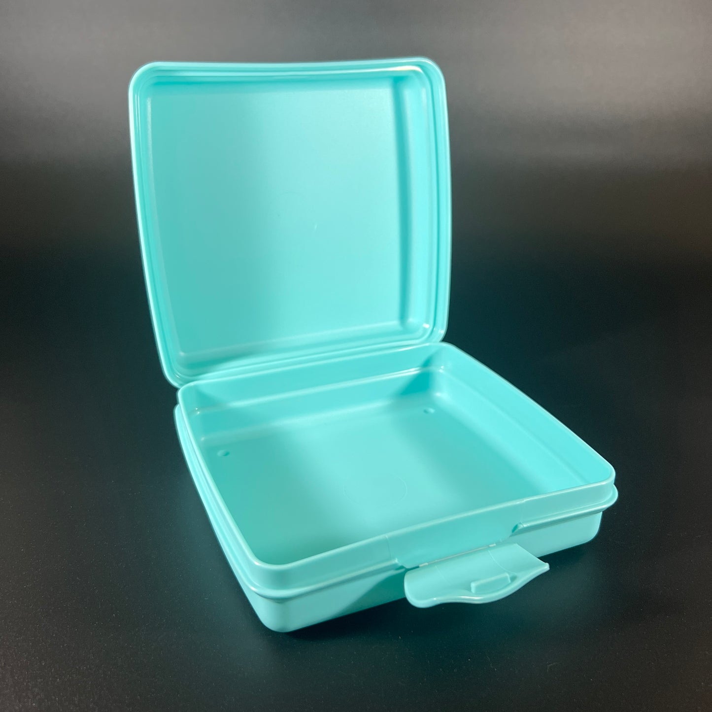 Retro Tupperware Sandwich Keeper