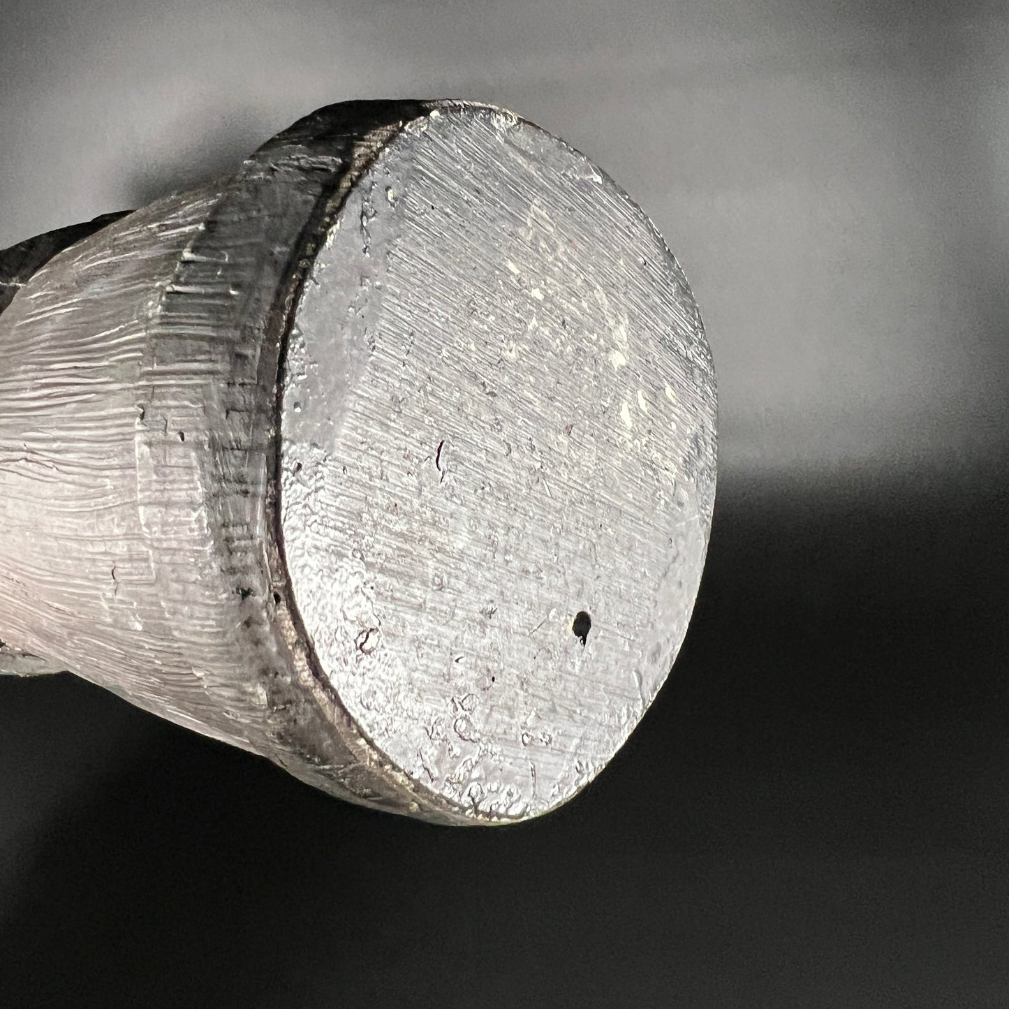 Enchanted Tiki Room Totem