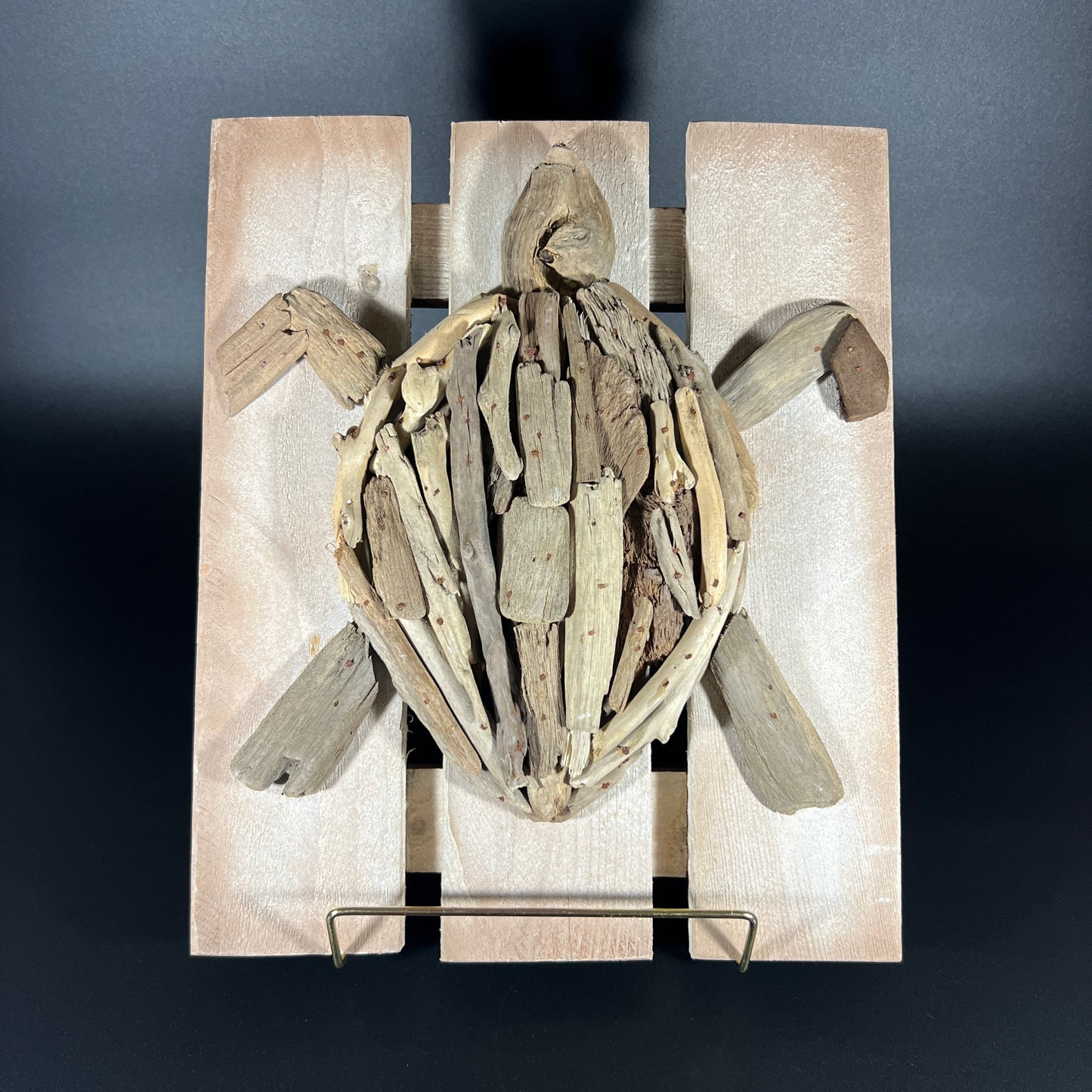 Nautical Driftwood Turtle Art