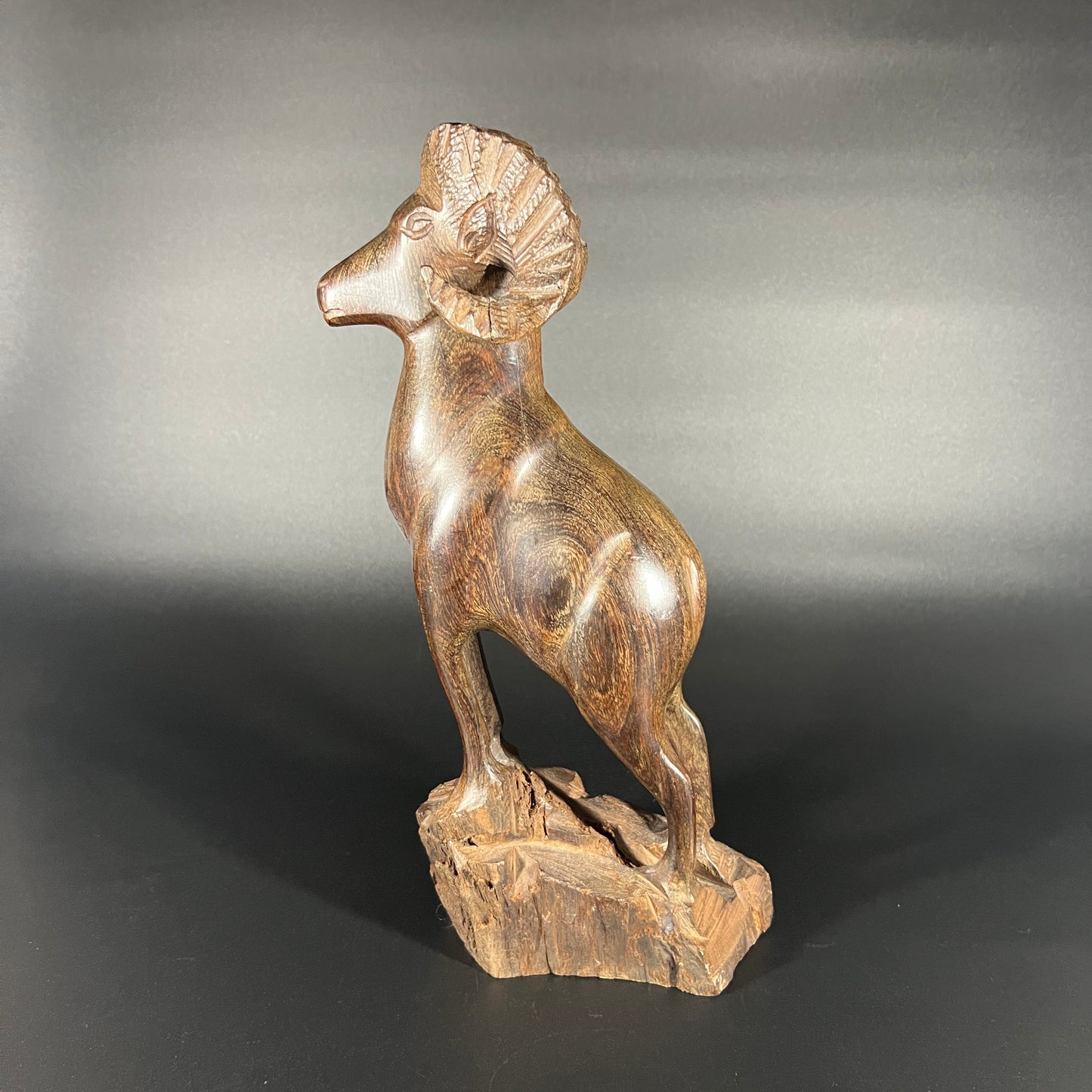 Ironwood Big Horn Ram Carving