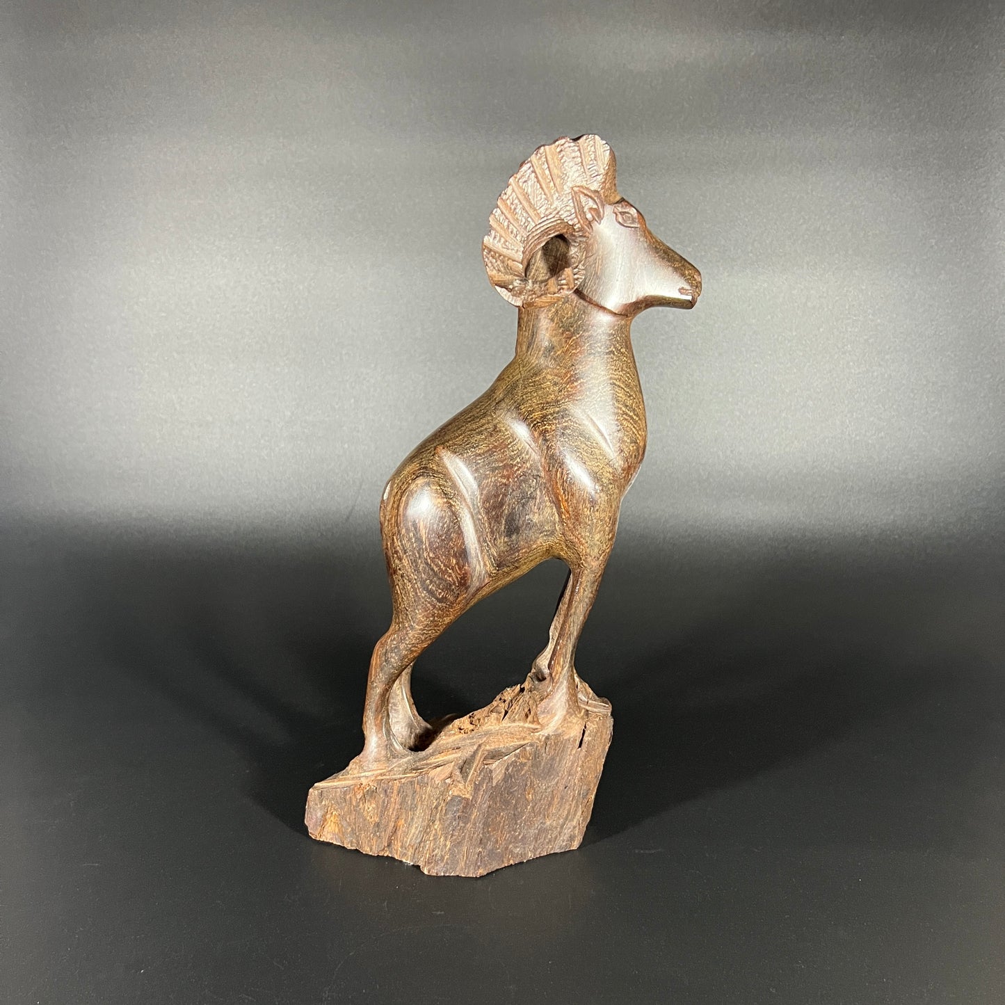 Ironwood Big Horn Ram Carving