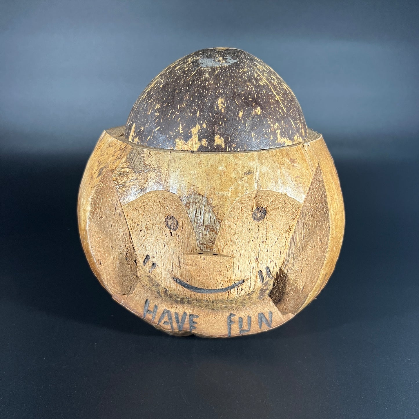 Vintage Monkey Coconut Souvenir Mug