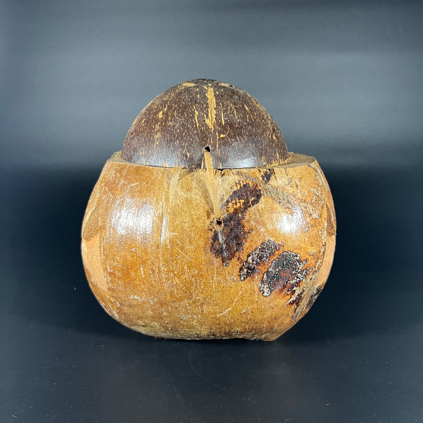 Vintage Monkey Coconut Souvenir Mug
