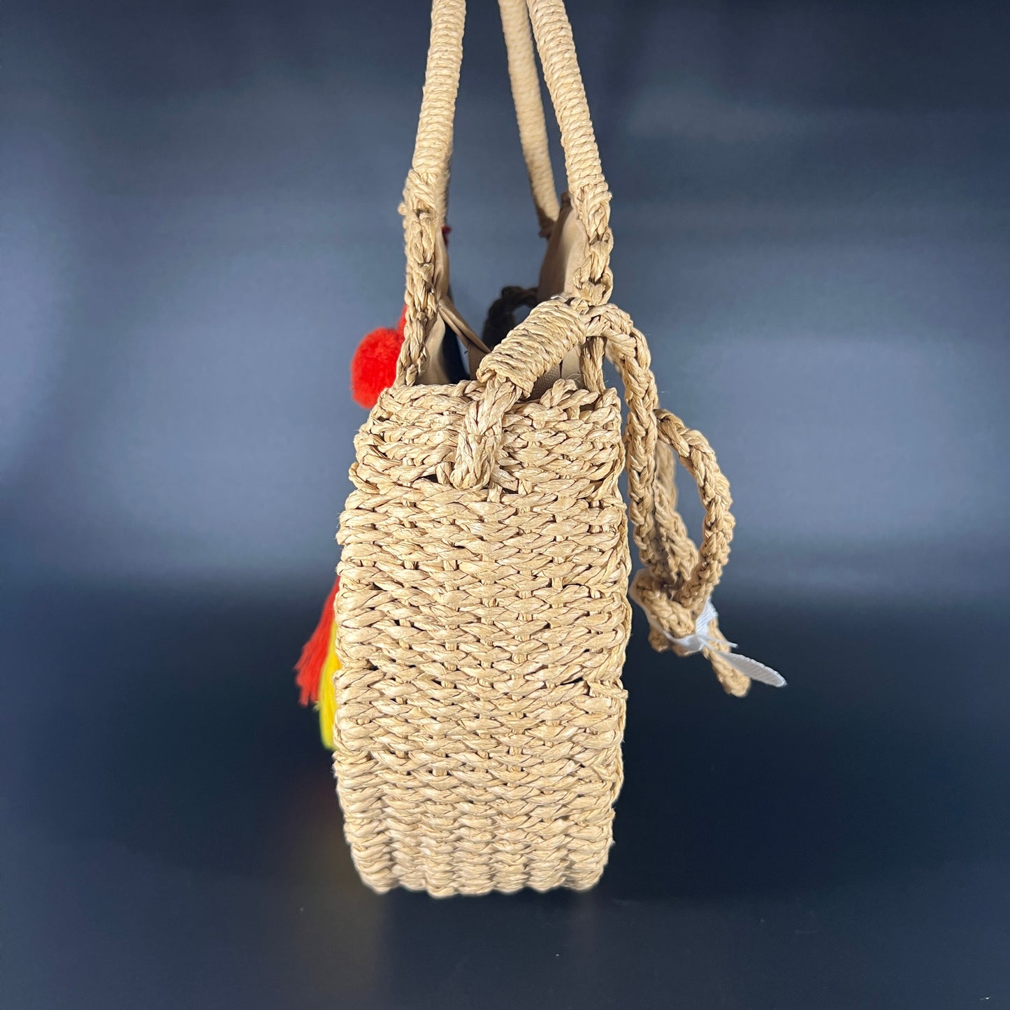 Kim Rogers Circle Straw Tote
