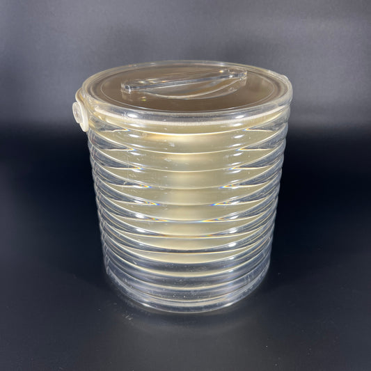1970s Sally Designs Acrylic Ice Bucket