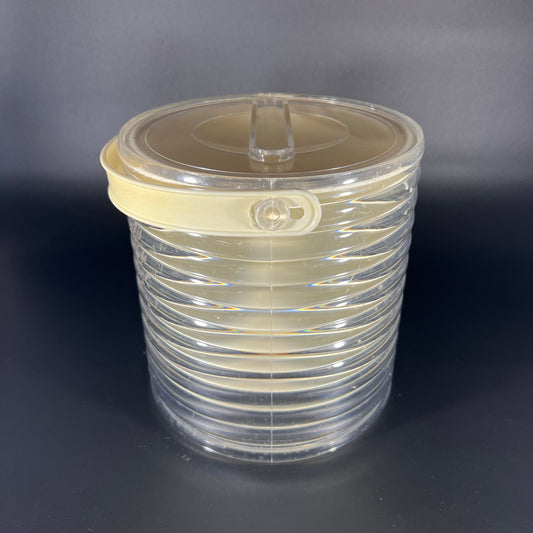 1970s Sally Designs Acrylic Ice Bucket