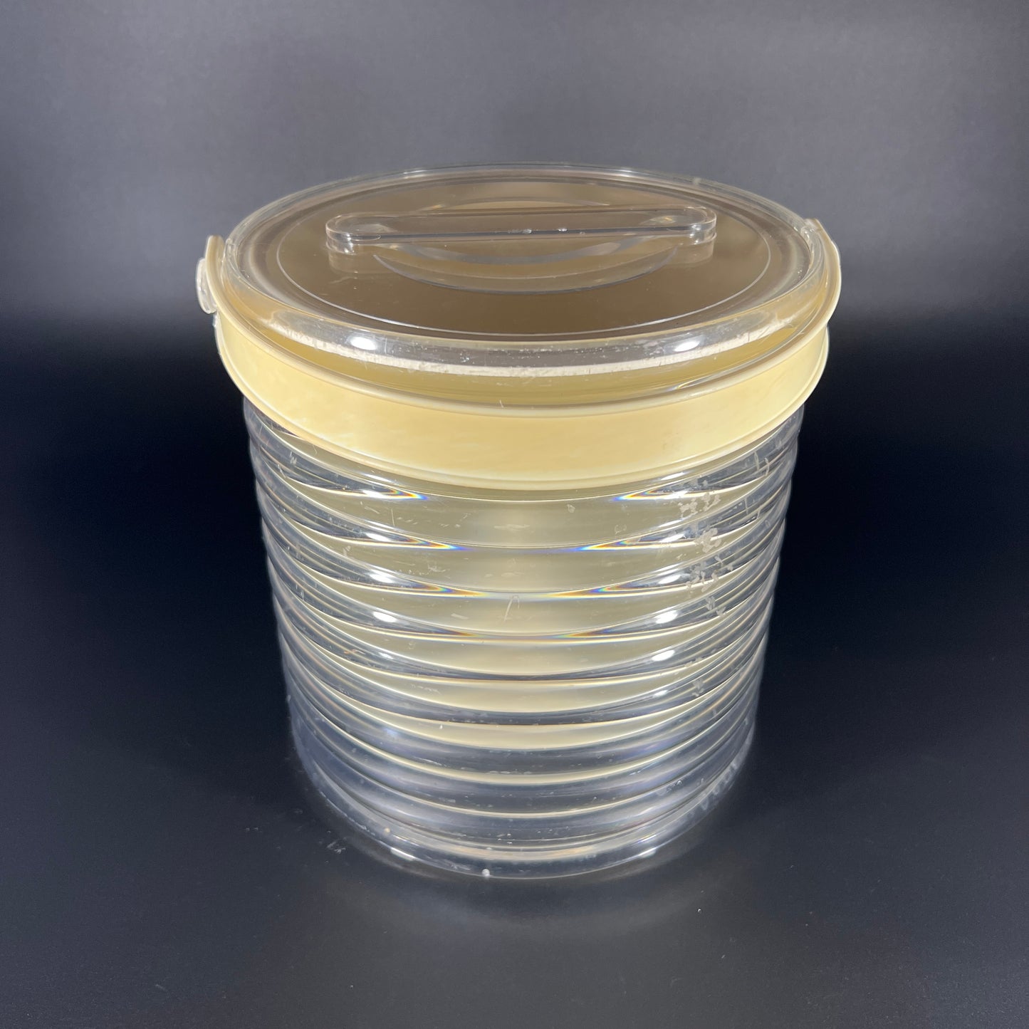 1970s Sally Designs Acrylic Ice Bucket