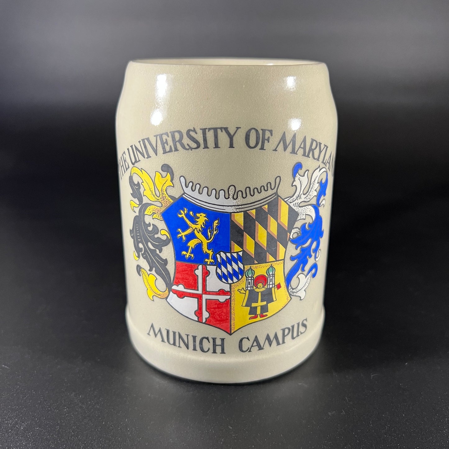 University of Maryland Munich Campus Stein