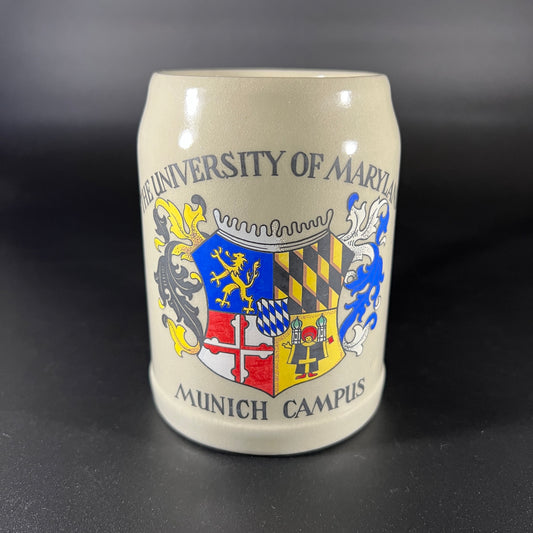 University of Maryland Munich Campus Stein