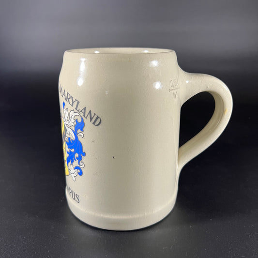 University of Maryland Munich Campus Stein