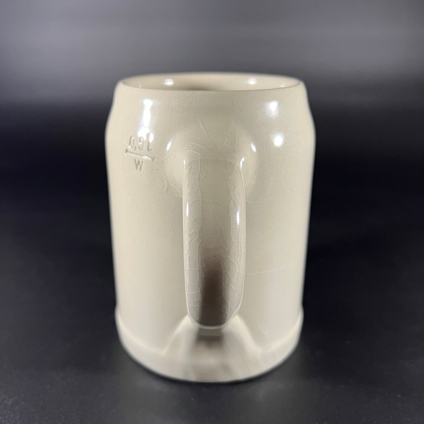 University of Maryland Munich Campus Stein