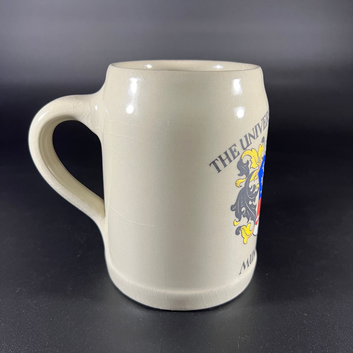 University of Maryland Munich Campus Stein