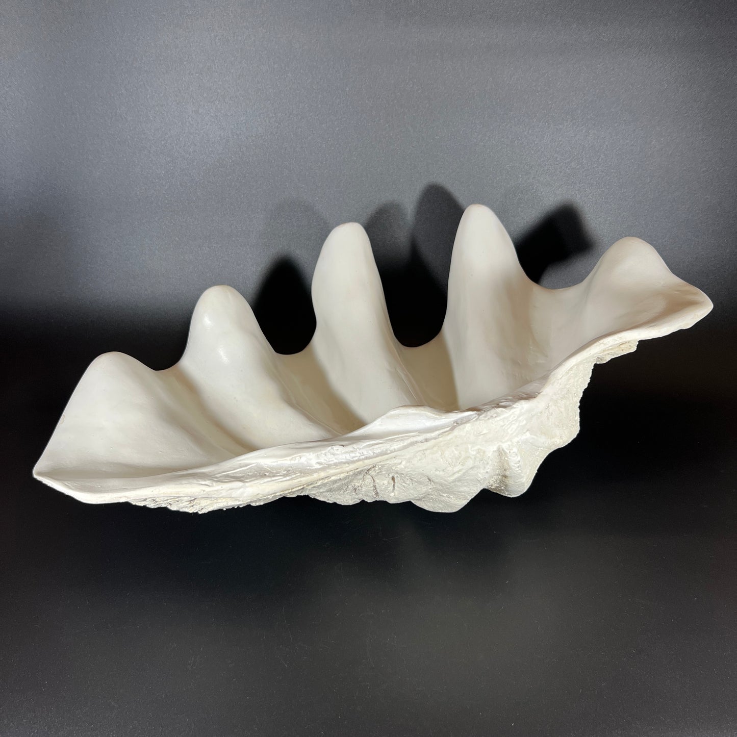 Decorative Giant Clamshell Centerpiece