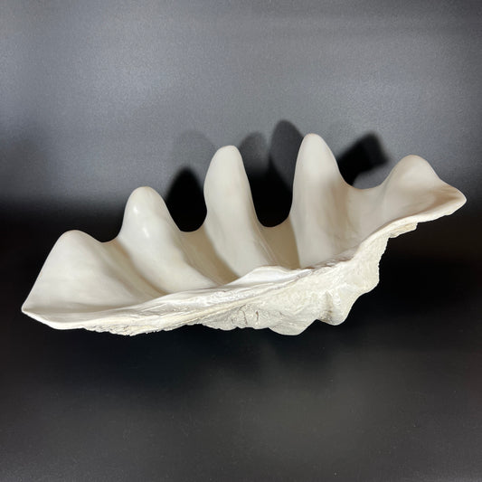 Decorative Giant Clamshell Centerpiece