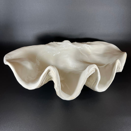 Decorative Giant Clamshell Centerpiece