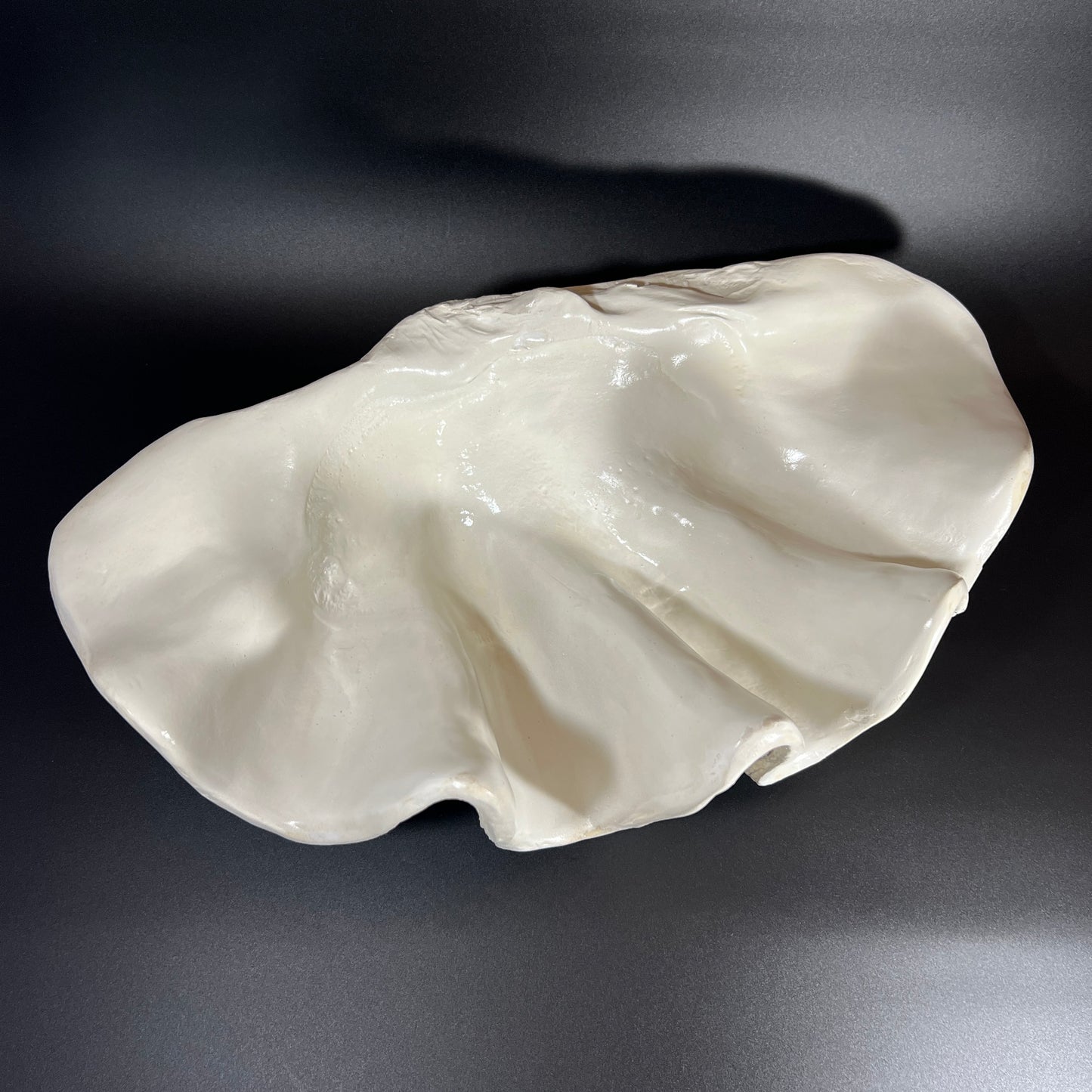 Decorative Giant Clamshell Centerpiece