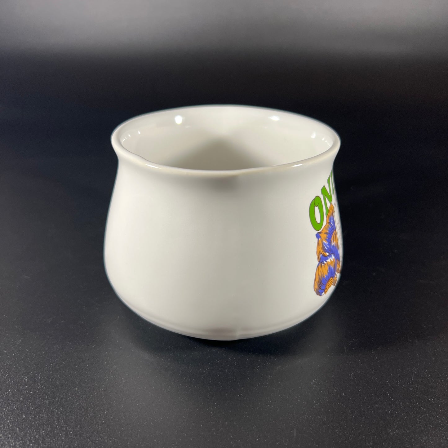 Onion Soup Recipe Bowl