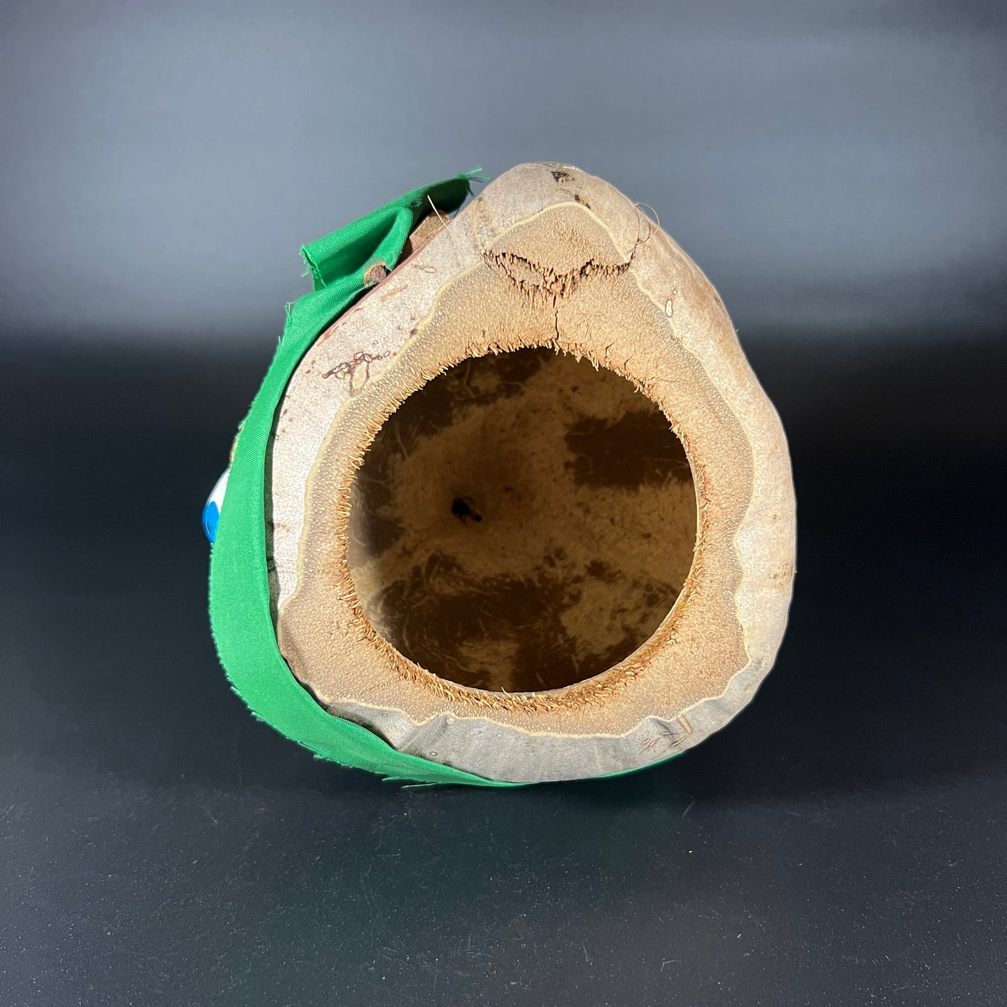 Coconut Pirate (Green)