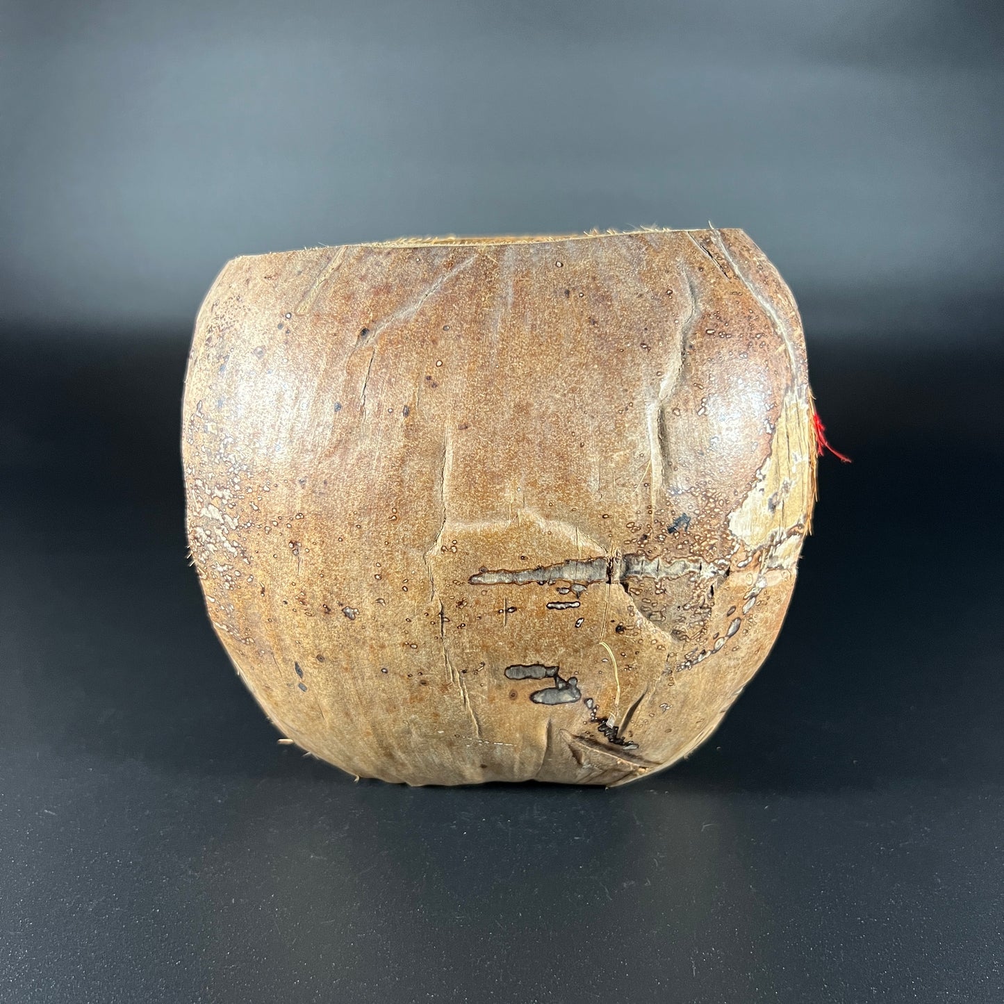 Coconut Pirate (Red)