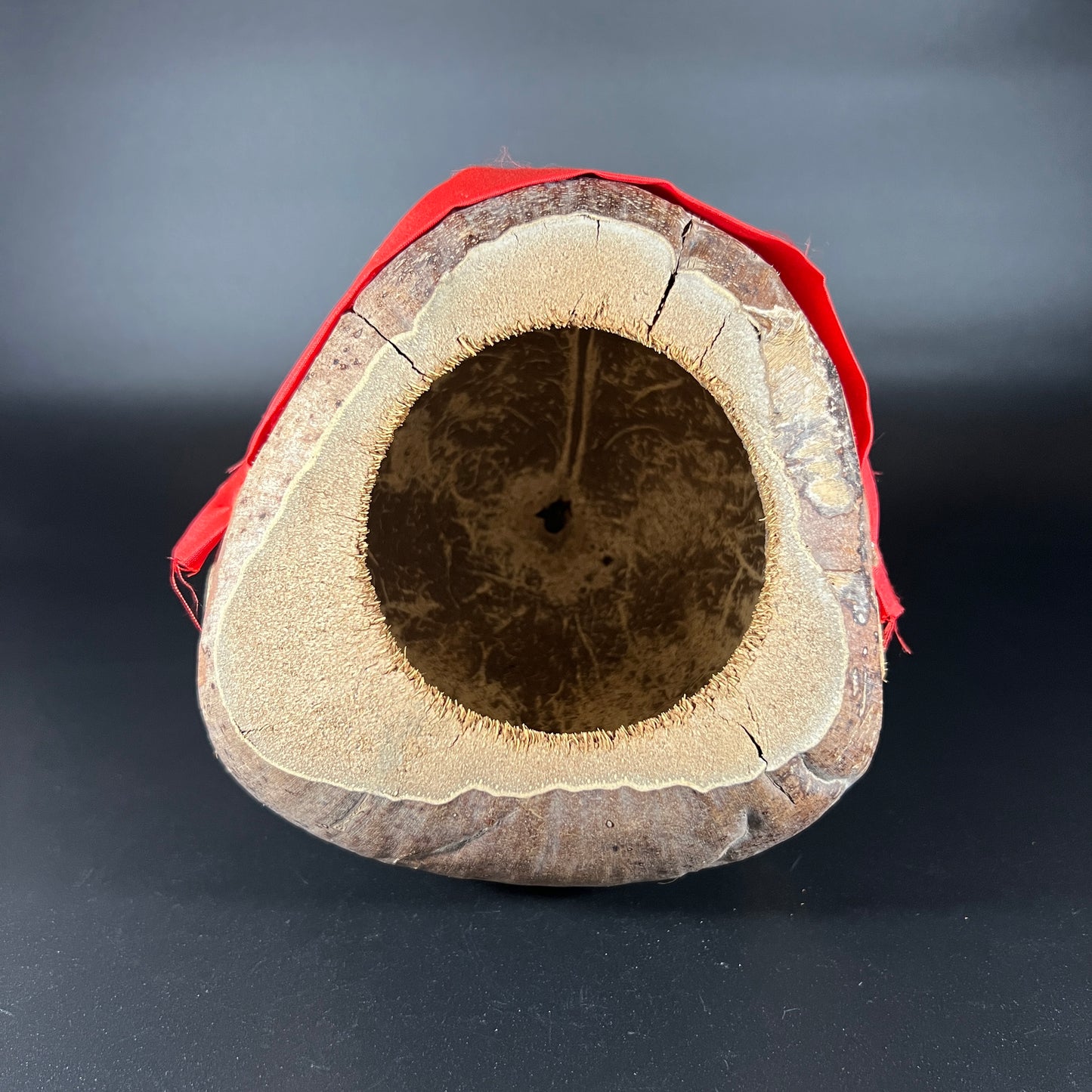 Coconut Pirate (Red)