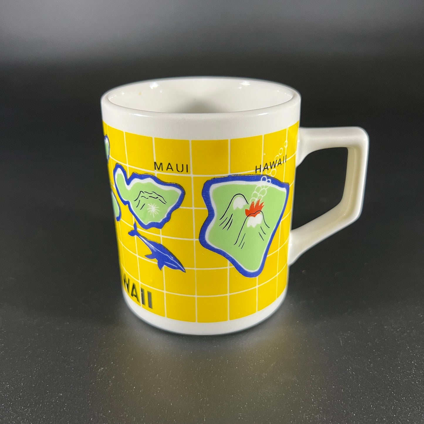 Hawaii Mug