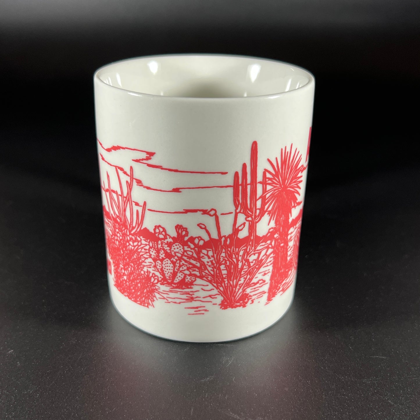 Vintage Souvenir Arizona Mug