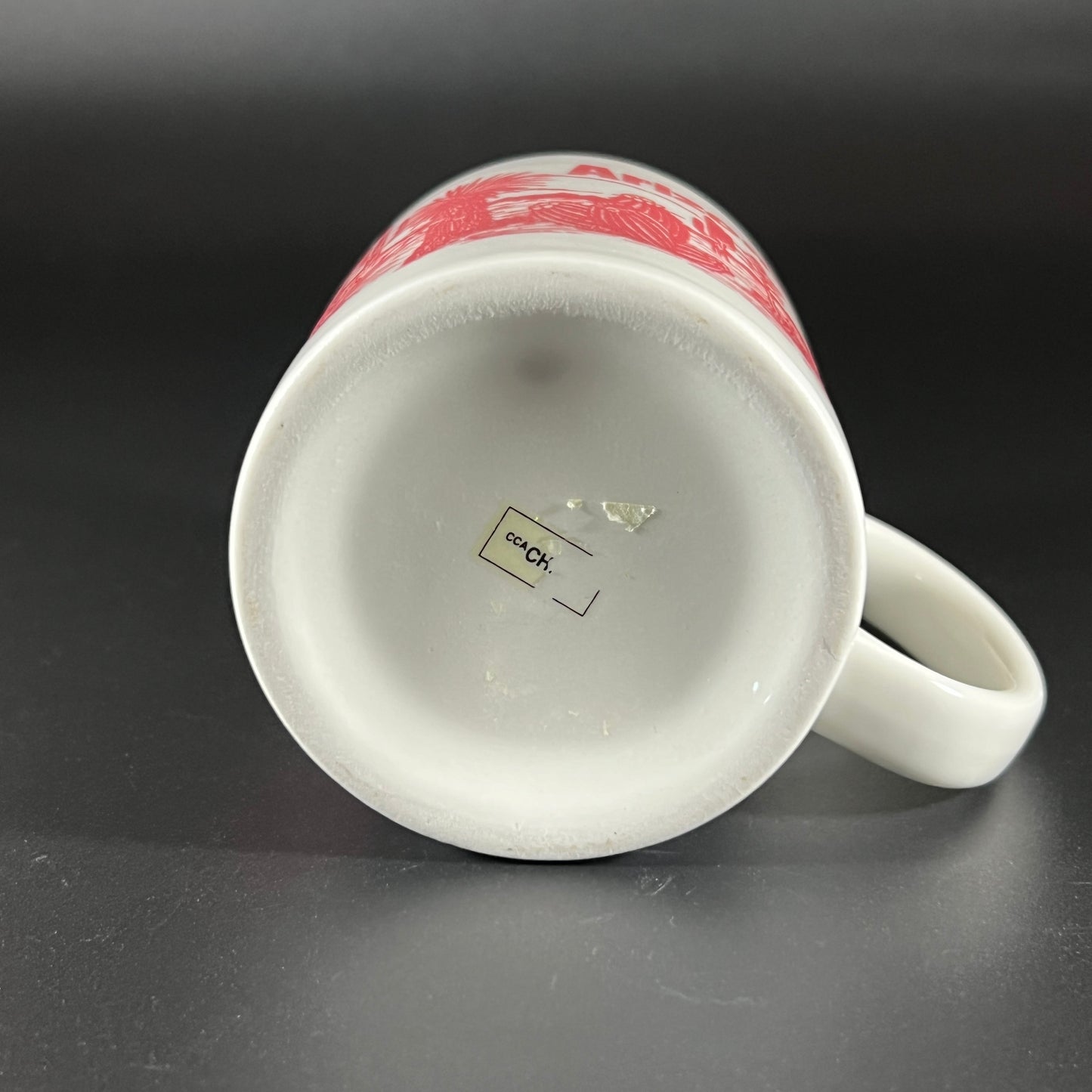 Vintage Souvenir Arizona Mug