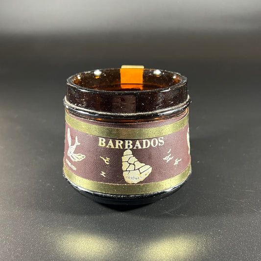 Vintage Souvenir Glass Mug from Barbados