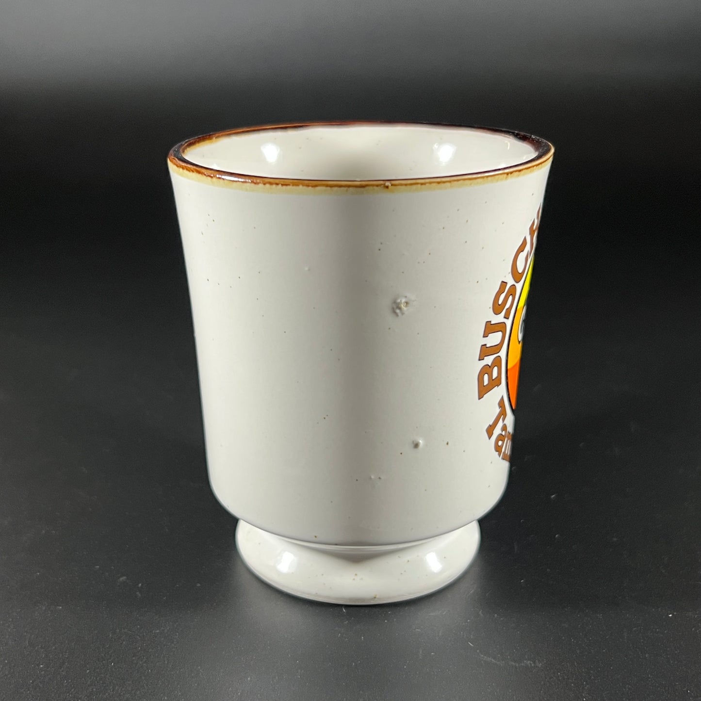 Vintage Busch Gardens "The Dark Continent" Souvenir Mug
