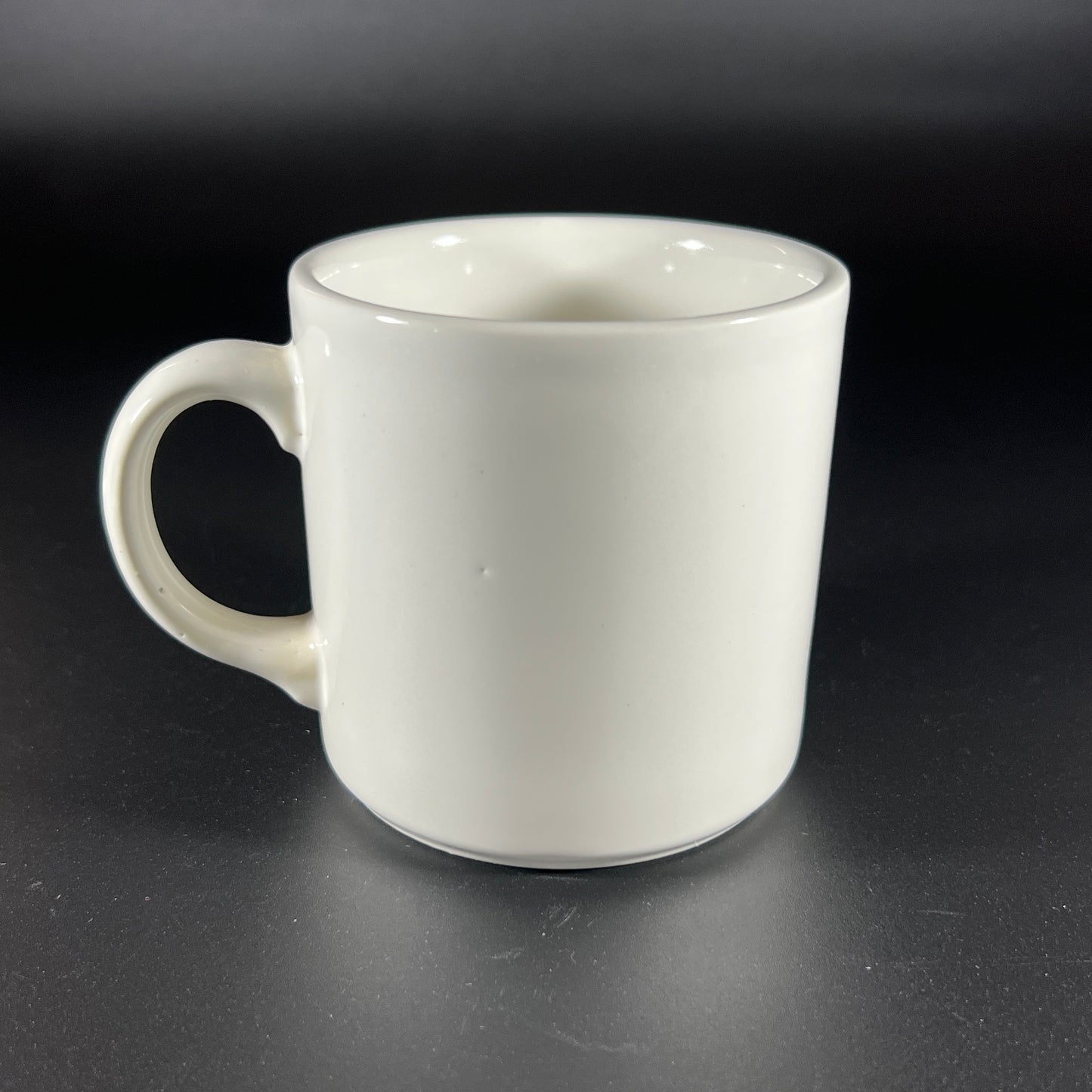Vintage Souvenir Mug from Minnesota